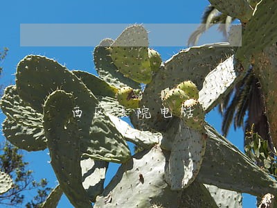 西区法院电话 西区法院电话