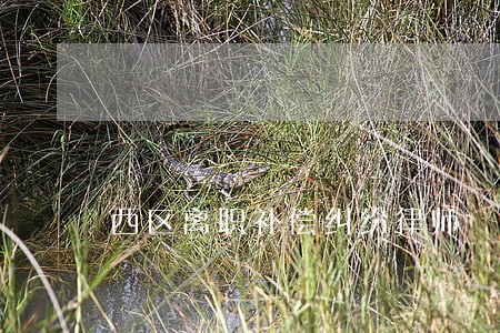西区离职补偿纠纷律师 西区离职补偿纠纷律师