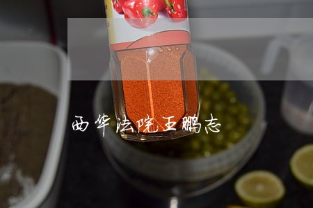 西华法院王鹏志 西华法院王鹏志
