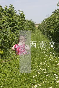 西南交大图书逾期费用计算 西南交大图书逾期费用计算