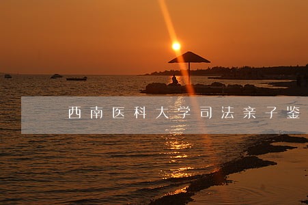 西南医科大学司法亲子鉴定中心 西南医科大学司法亲子鉴定中心