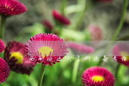 西南政法大学刑法备考经验 西南政法大学刑法备考经验