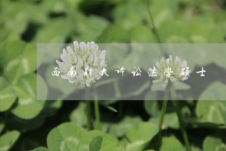 西南财大诉讼法学硕士 西南财大诉讼法学硕士
