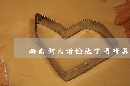 西南财大诉讼法学考研真题 西南财大诉讼法学考研真题