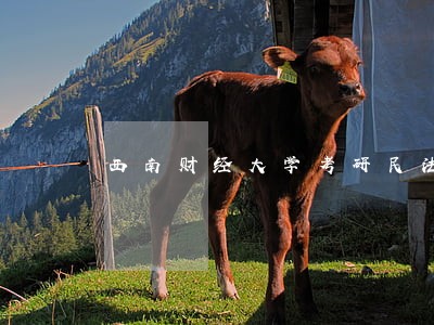 西南财经大学考研民法真题 西南财经大学考研民法真题
