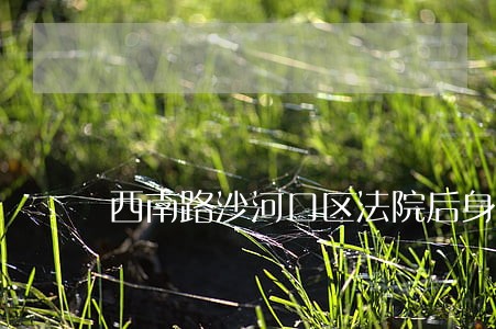 西南路沙河口区法院后身 西南路沙河口区法院后身