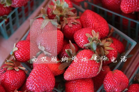 西双版纳婚姻律师电话 西双版纳婚姻律师电话