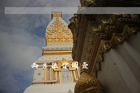 西吉法律调查 西吉法律调查