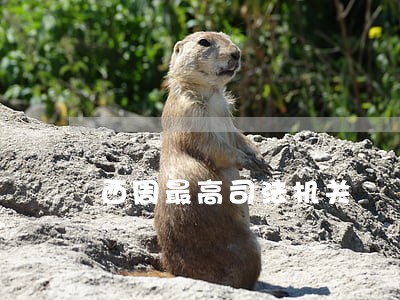西周最高司法机关 西周最高司法机关