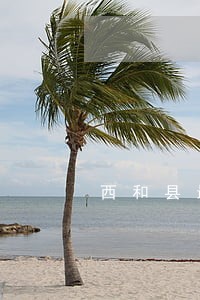 西和县最好的律师 西和县最好的律师