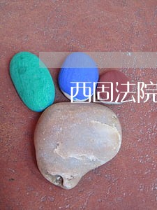 西固法院执行局局长 西固法院执行局局长