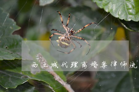 西土城代理离婚案律师流程 西土城代理离婚案律师流程