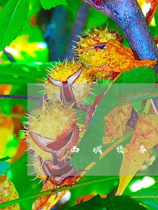 西城债务律师在线咨询 西城债务律师在线咨询