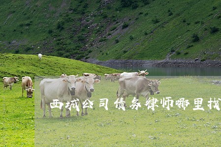 西城公司债务律师哪里找 西城公司债务律师哪里找