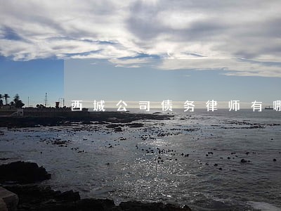 西城公司债务律师有哪些 西城公司债务律师有哪些