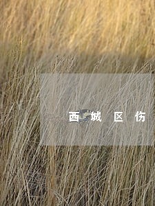 西城区伤残鉴定手续律师