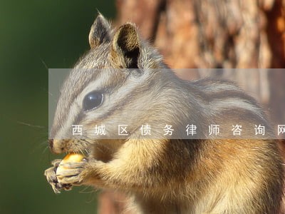 西城区债务律师咨询网站 西城区债务律师咨询网站