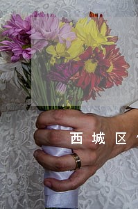 西城区债务纠纷律师延庆
