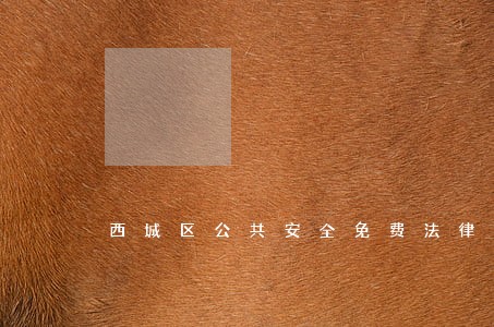 西城区公共安全免费法律咨询热线 西城区公共安全免费法律咨询热线