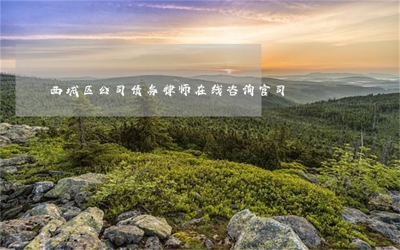 西城区公司债务律师在线咨询官司 西城区公司债务律师在线咨询官司