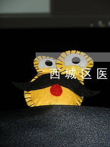 西城区医疗诉讼律师
