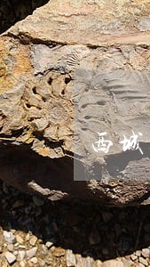 西城区婚姻继承律师微信免费咨询 西城区婚姻继承律师微信免费咨询