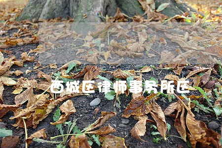 西城区律师事务所区 西城区律师事务所区