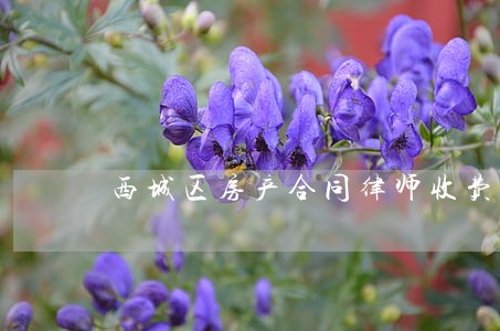 西城区房产合同律师收费 西城区房产合同律师收费