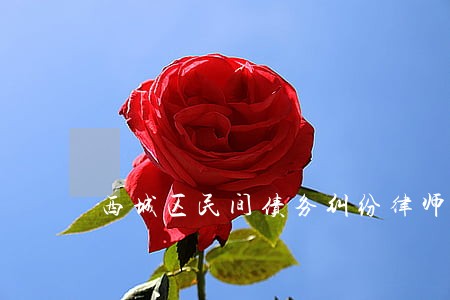 西城区民间债务纠纷律师 西城区民间债务纠纷律师