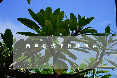 西城区法律咨询推荐