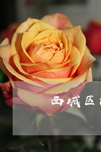 西城区法律咨询热线 西城区法律咨询热线