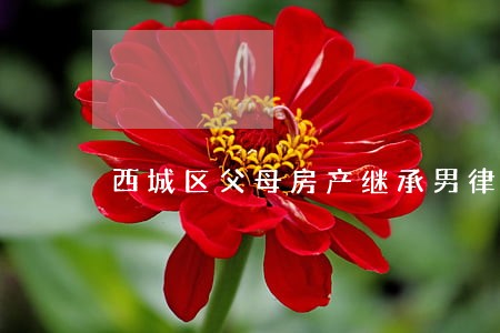 西城区父母房产继承男律师 西城区父母房产继承男律师