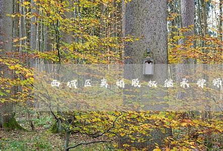 西城区离婚股权继承律师价格 西城区离婚股权继承律师价格