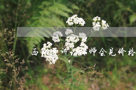 西城区诉讼律师会见价格 西城区诉讼律师会见价格