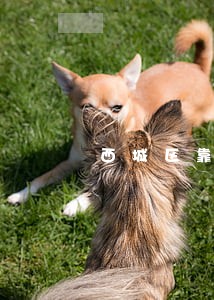 西城区靠谱的法律援助