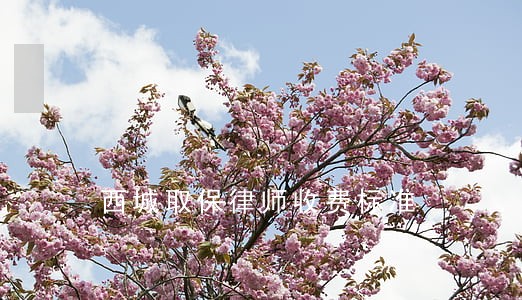 西城取保律师收费标准