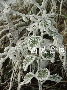 西城合同纠纷律师费用 西城合同纠纷律师费用