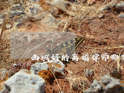 西城好的离婚律师哪家好 西城好的离婚律师哪家好