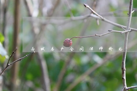 西城房产合同律师价格 西城房产合同律师价格