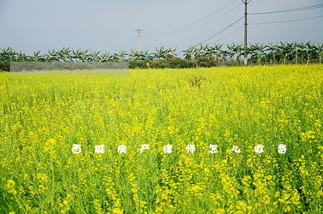 西城房产律师怎么收费 西城房产律师怎么收费