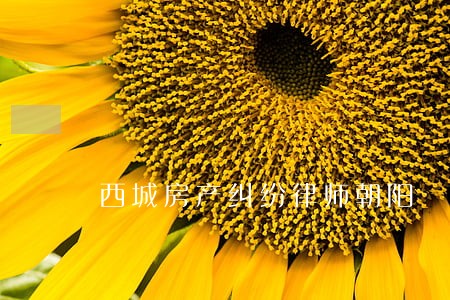 西城房产纠纷律师朝阳 西城房产纠纷律师朝阳