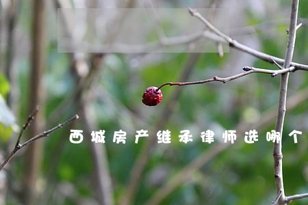 西城房产继承律师选哪个 西城房产继承律师选哪个