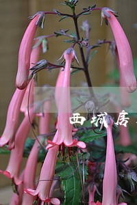西城房屋拆迁律师咨询 西城房屋拆迁律师咨询