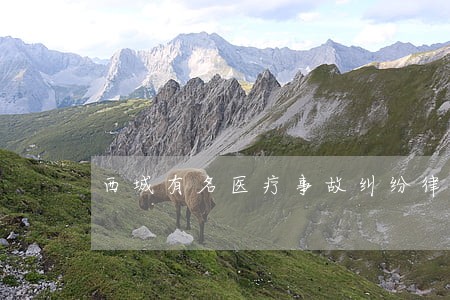 西城有名医疗事故纠纷律师排名 西城有名医疗事故纠纷律师排名