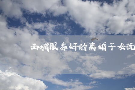 西城服务好的离婚子女抚养权律师 西城服务好的离婚子女抚养权律师