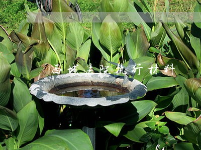 西城法院执行材料