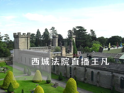 西城法院直播王凡