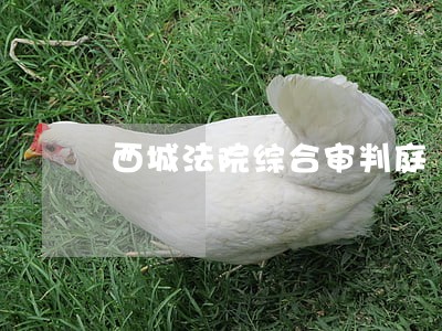 西城法院综合审判庭 西城法院综合审判庭