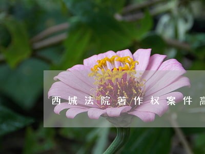 西城法院著作权案件高额赔偿 西城法院著作权案件高额赔偿