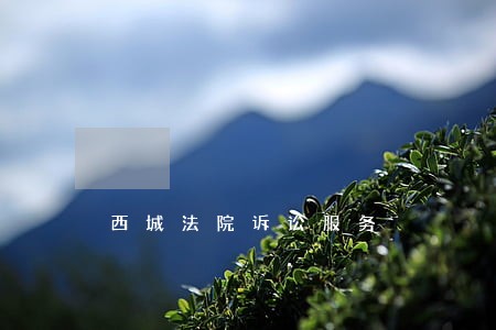 西城法院诉讼服务 西城法院诉讼服务